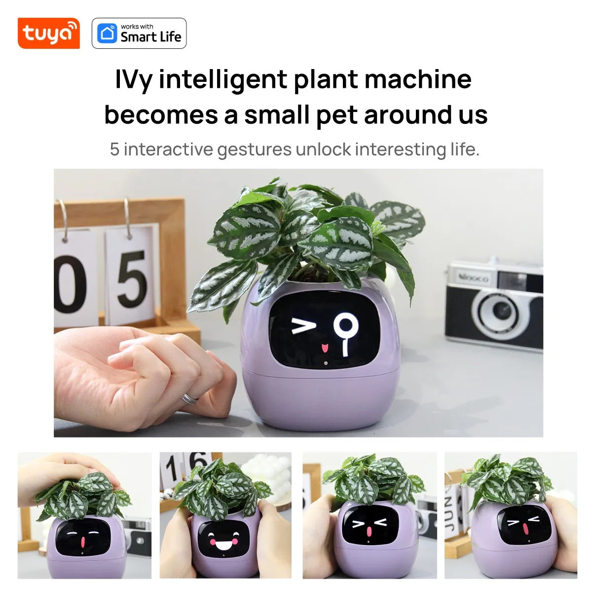 Ivy Smart Planter,Endless Fun over 49 Rich Expressions
