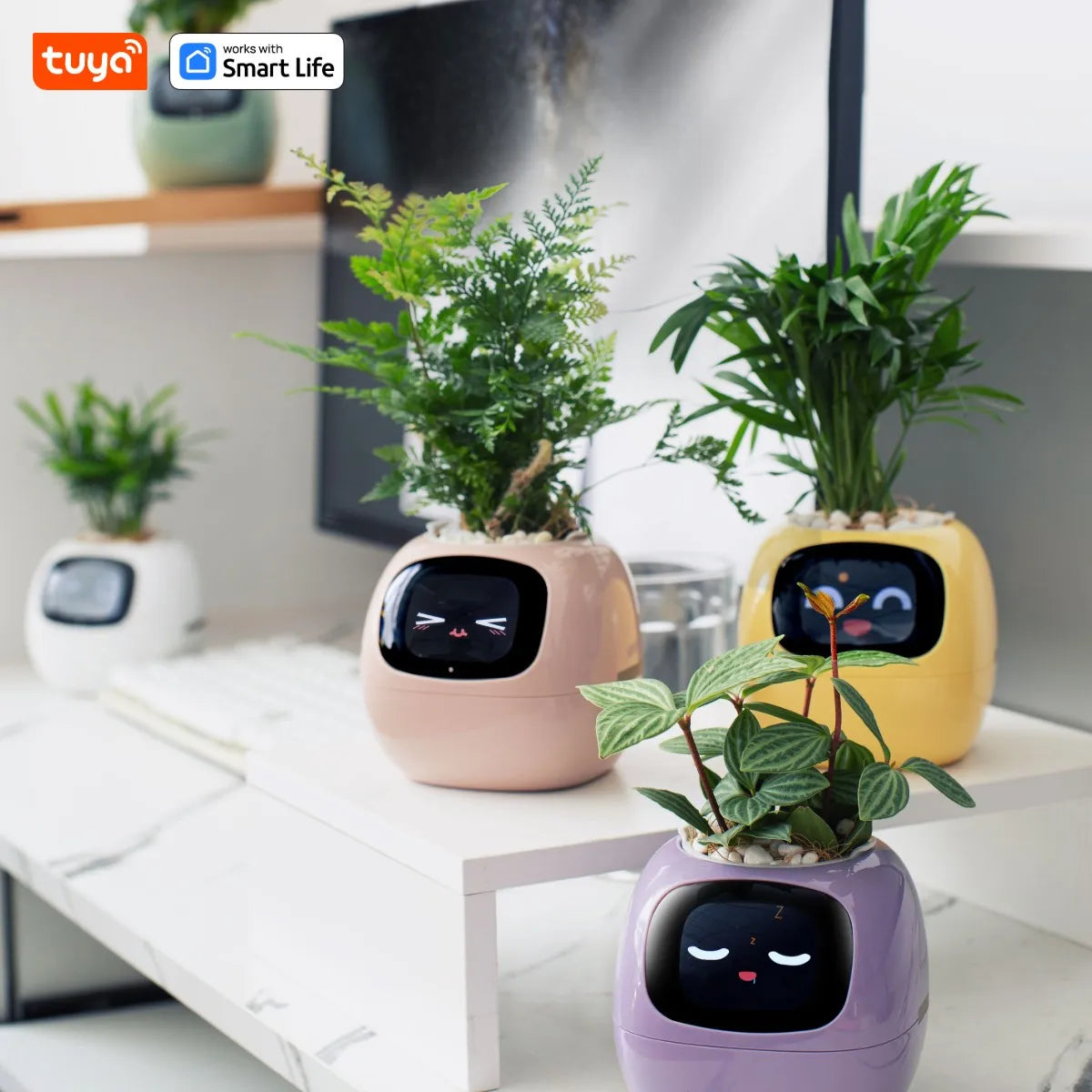 Ivy Smart Planter,Endless Fun over 49 Rich Expressions
