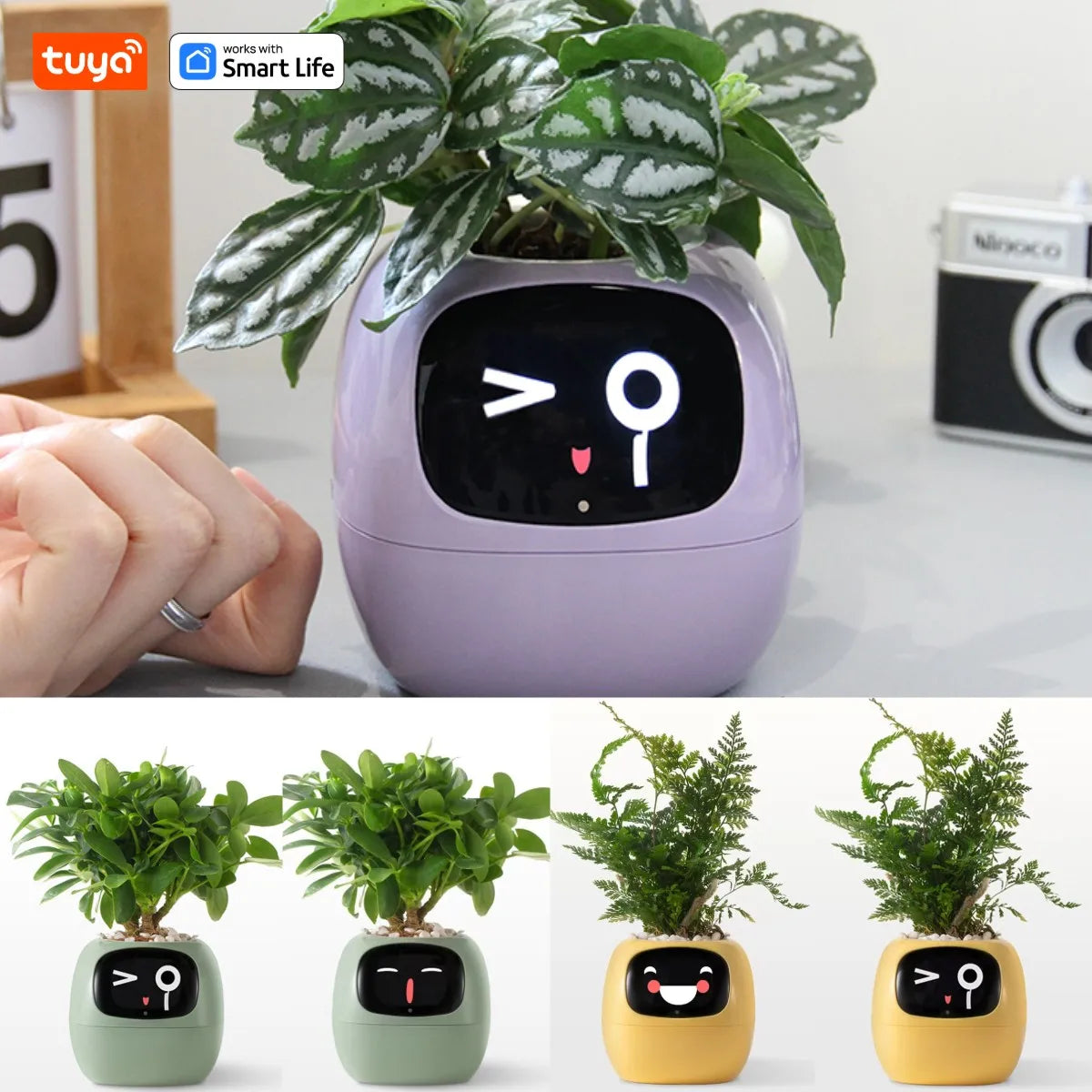 Ivy Smart Planter,Endless Fun over 49 Rich Expressions