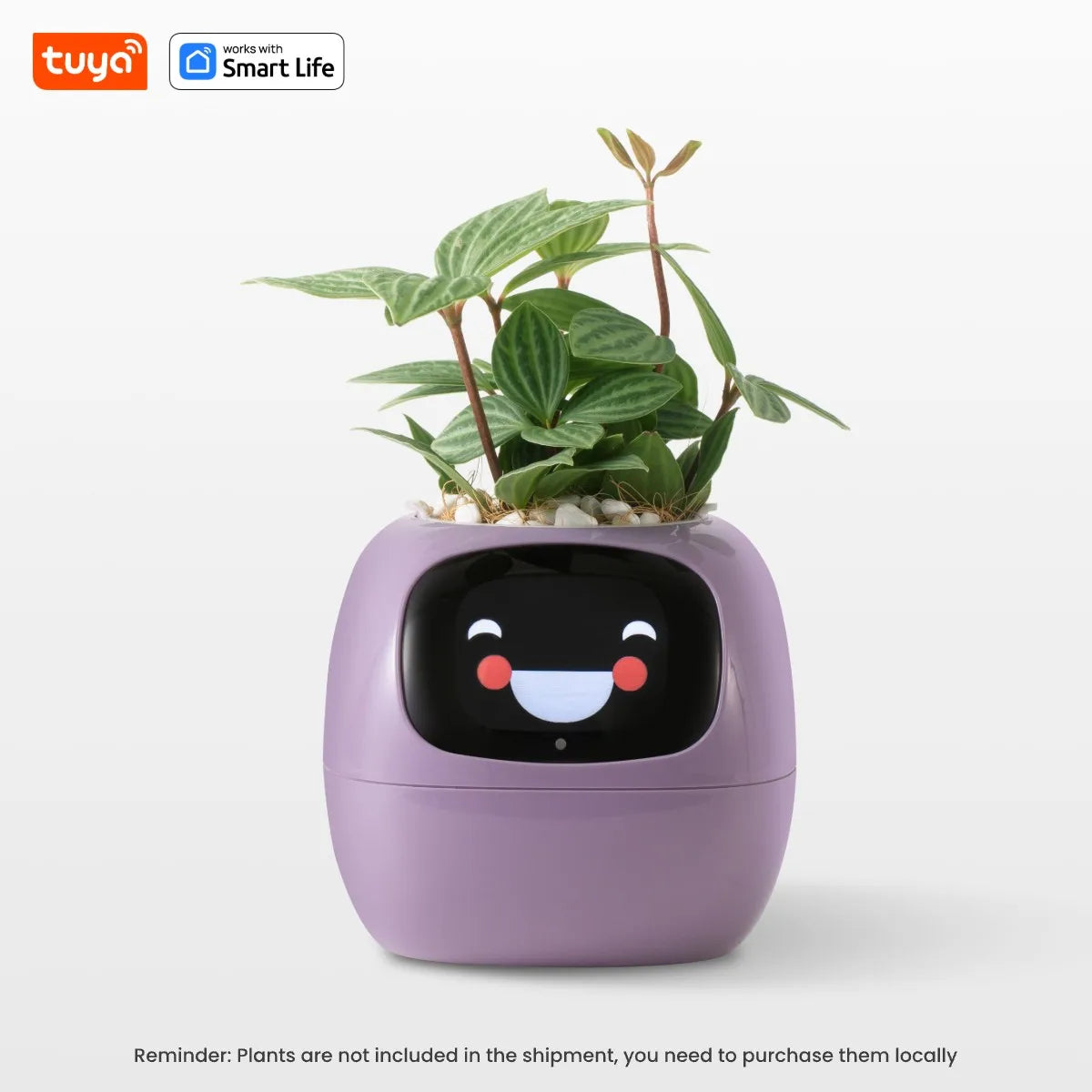 Ivy Smart Planter,Endless Fun over 49 Rich Expressions