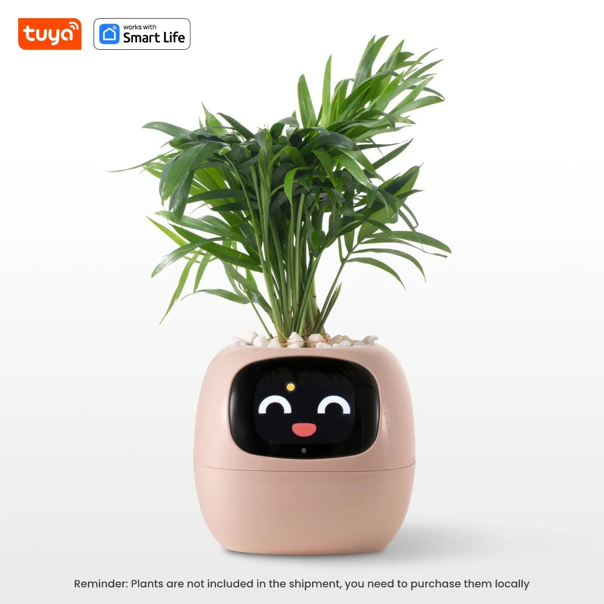 Ivy Smart Planter,Endless Fun over 49 Rich Expressions