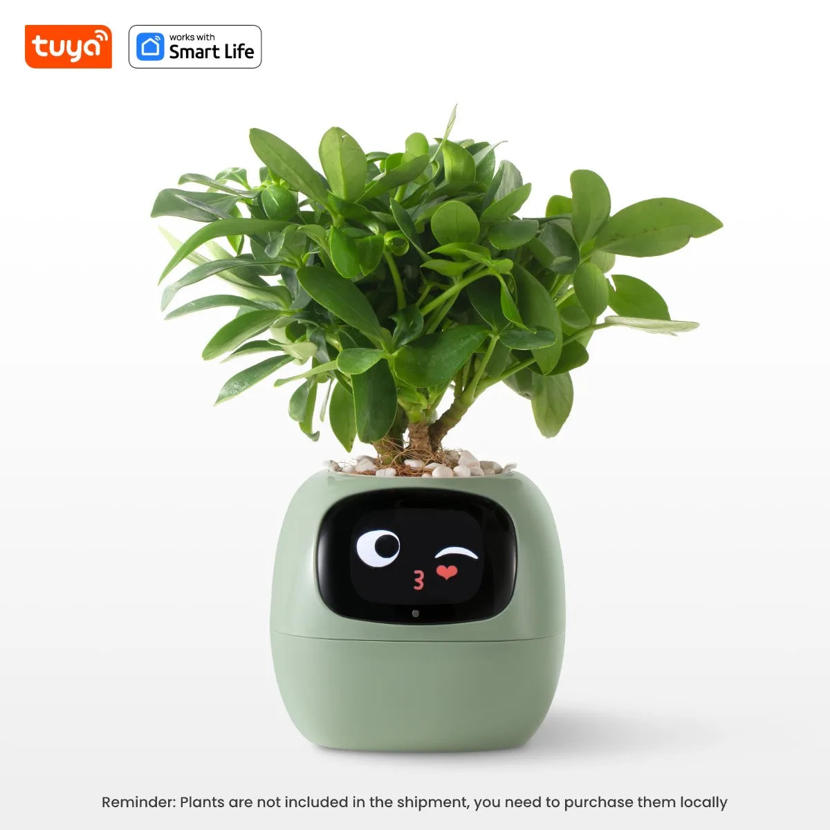 Ivy Smart Planter,Endless Fun over 49 Rich Expressions