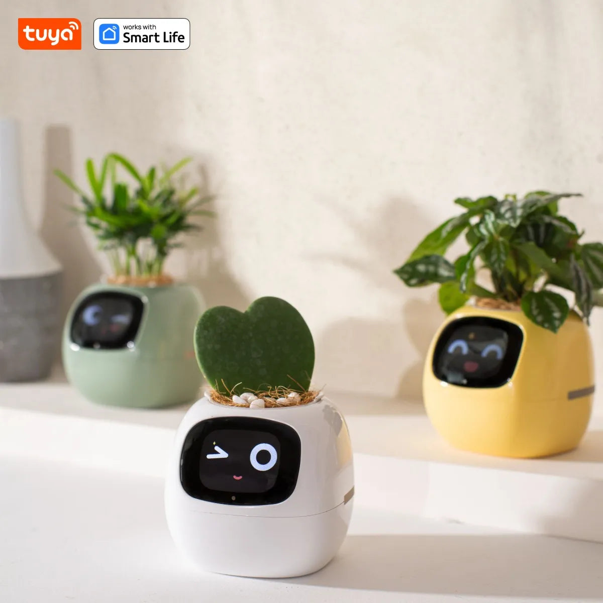 Ivy Smart Planter,Endless Fun over 49 Rich Expressions