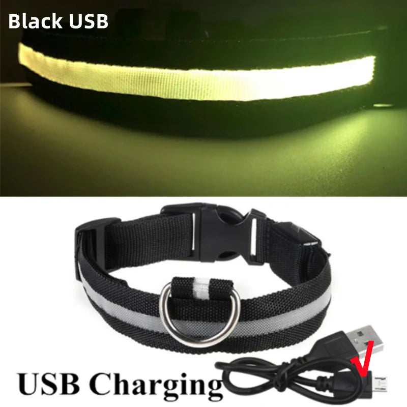Rechargeable LED Dog Collar