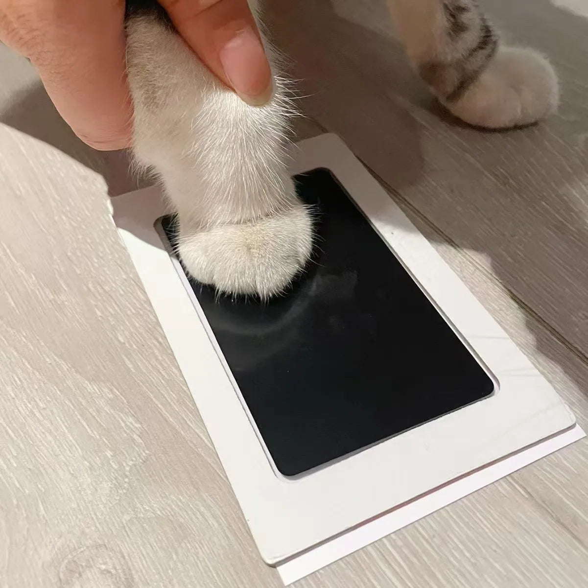 Paw Print Ink Pad