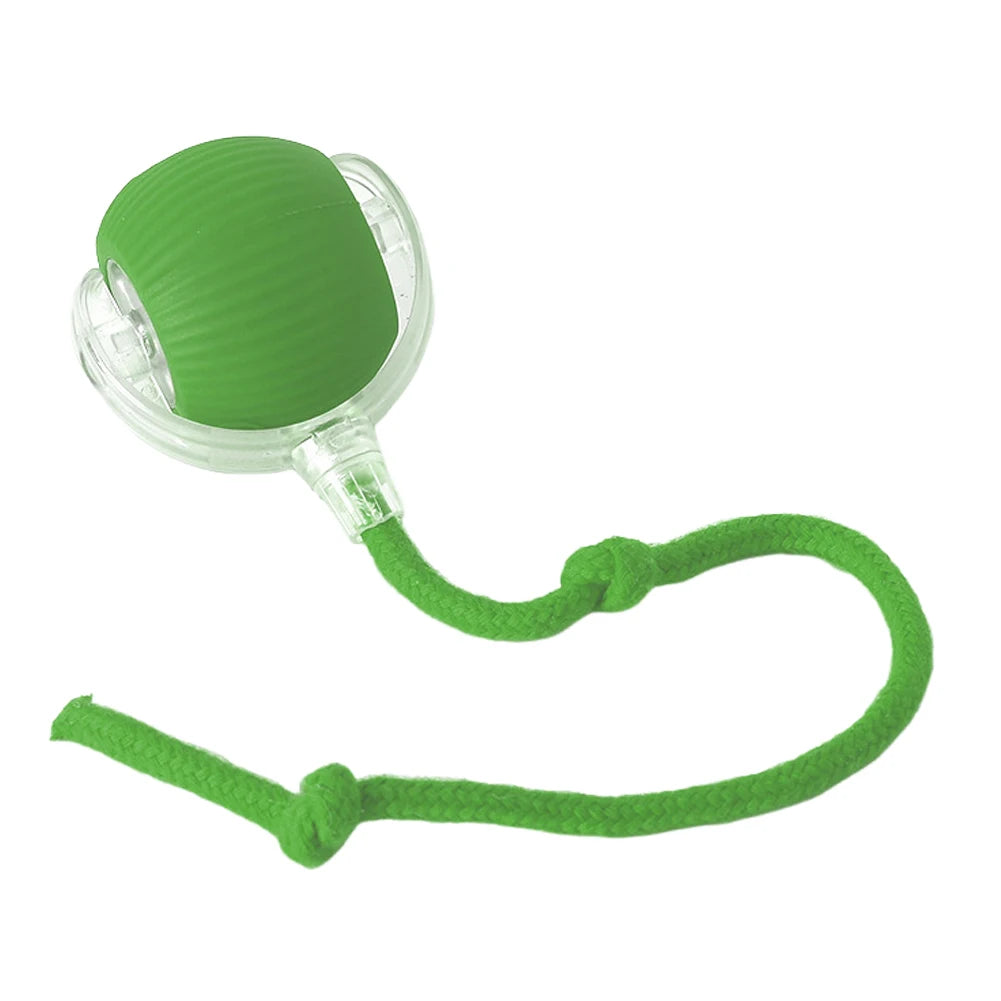 Interactive Cat Ball