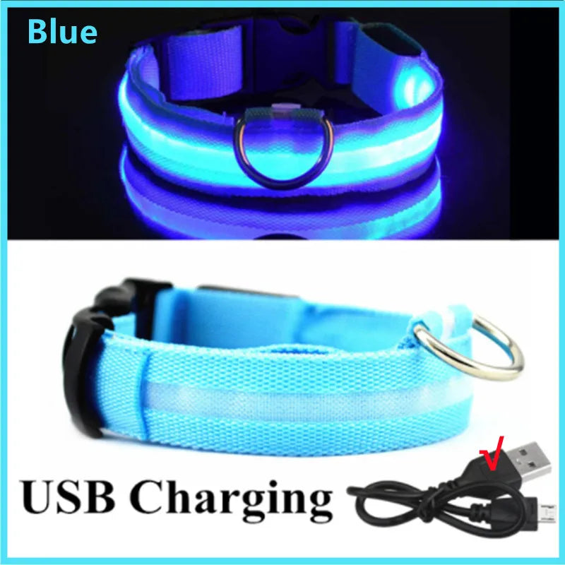 Rechargeable LED Dog Collar