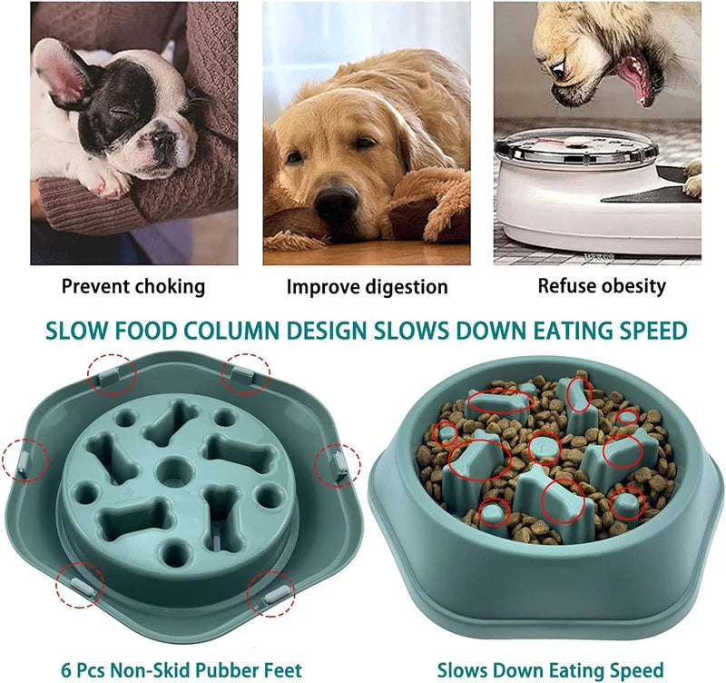 Slow Feeder Dog Bowl