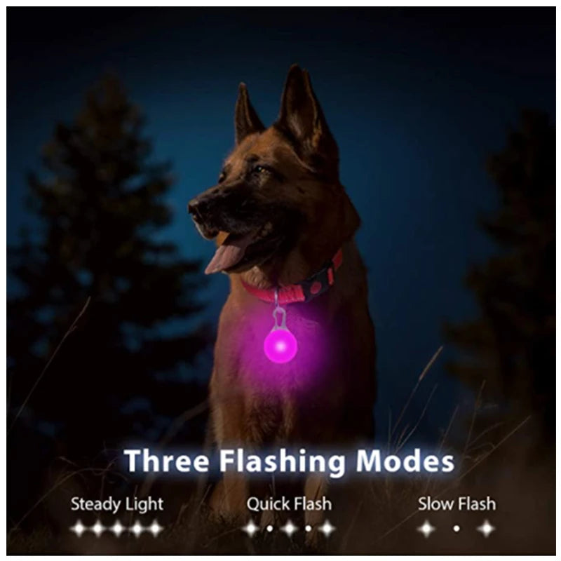 Rechargeable LED Dog Collar