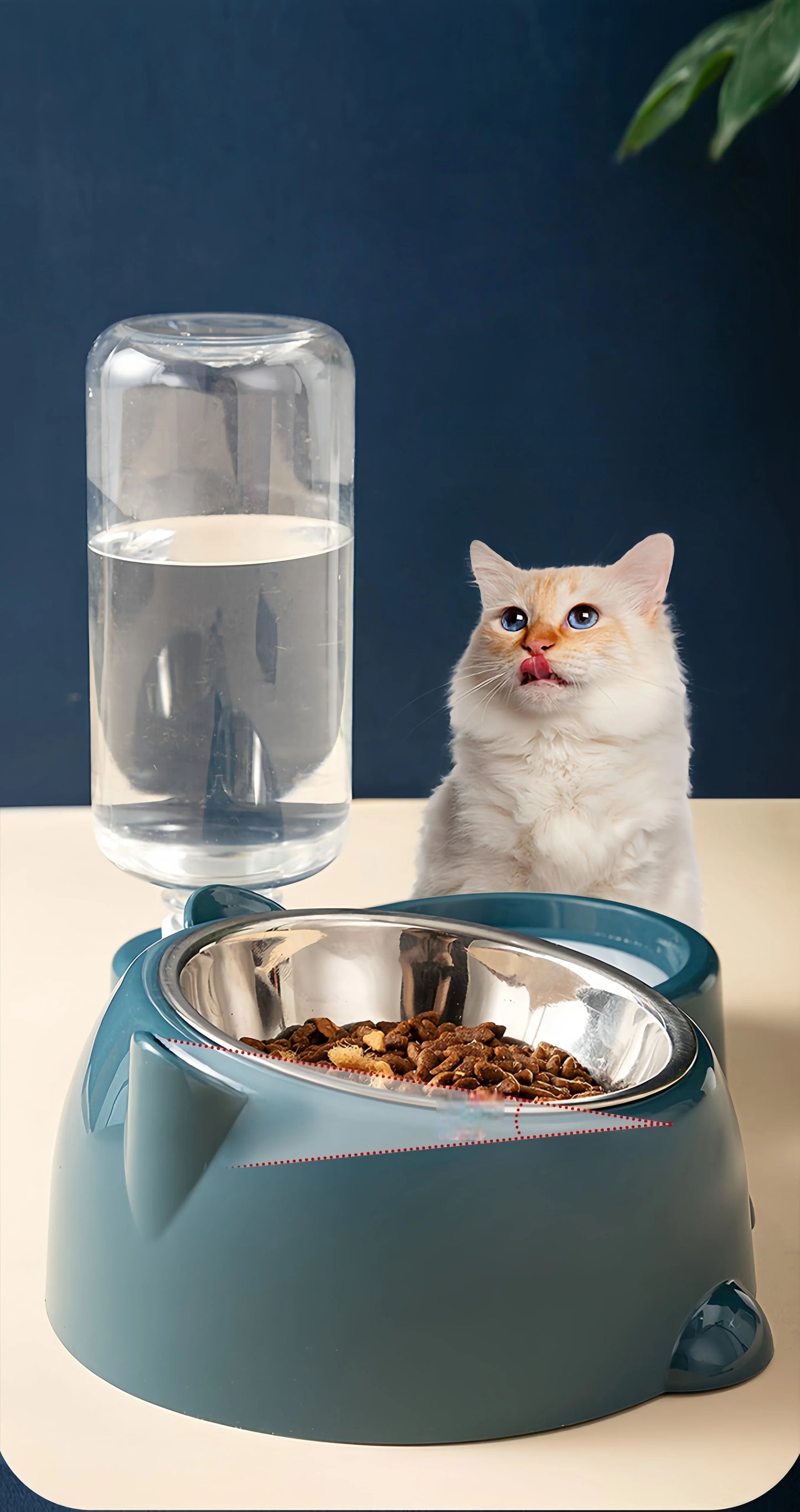 2-in-1 Water and Food Bowl