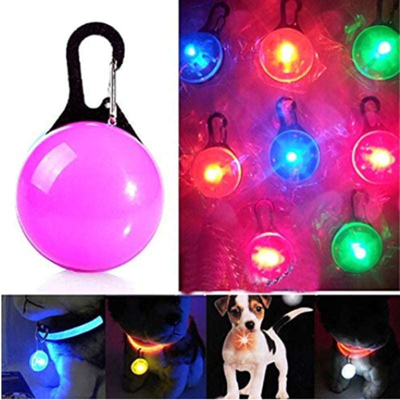 Rechargeable LED Dog Collar