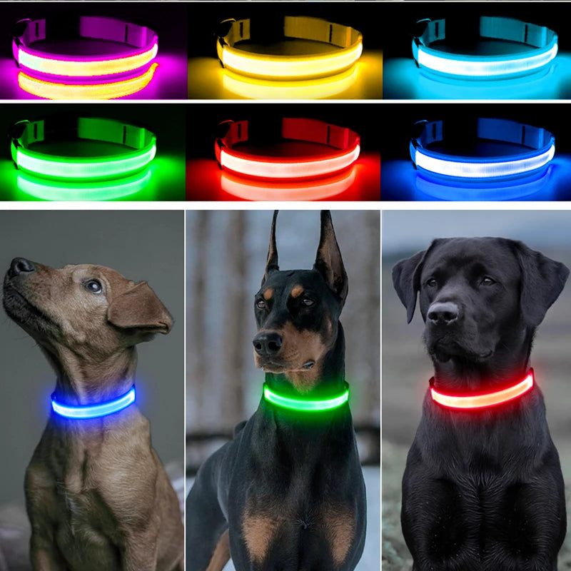 Rechargeable LED Dog Collar
