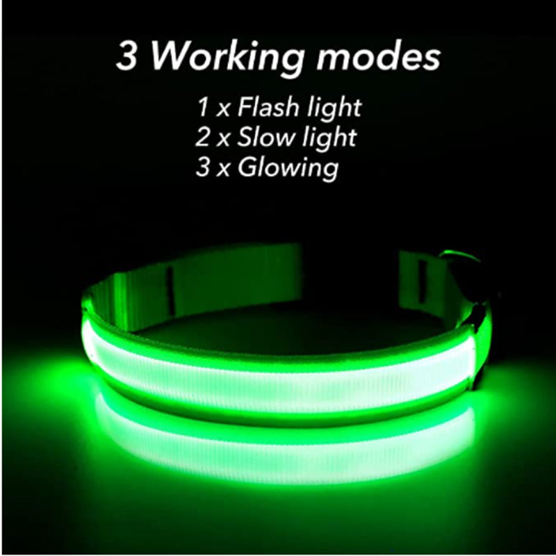 Rechargeable LED Dog Collar