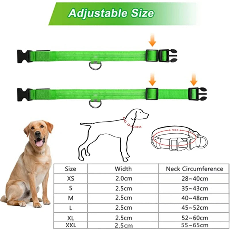 Rechargeable LED Dog Collar