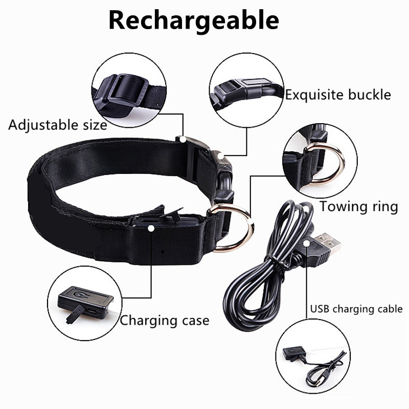 Rechargeable LED Dog Collar