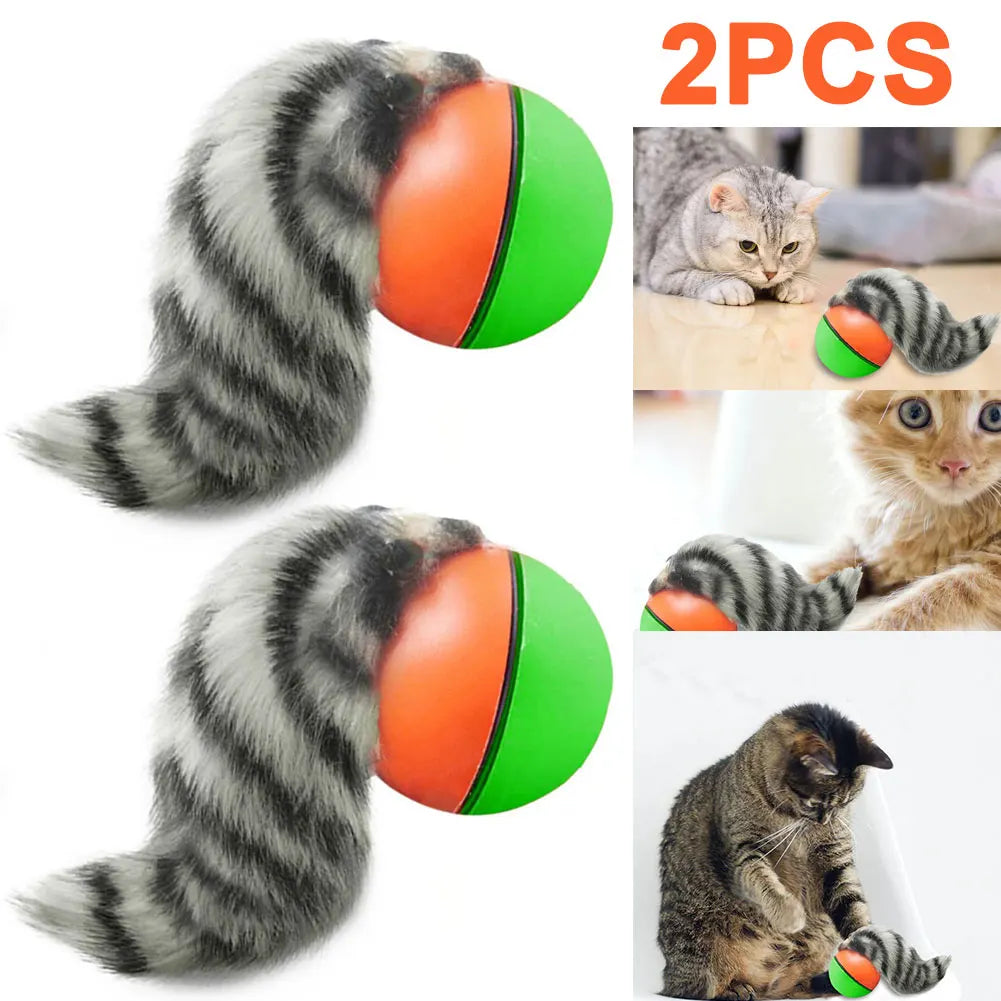 Interactive Cat Ball