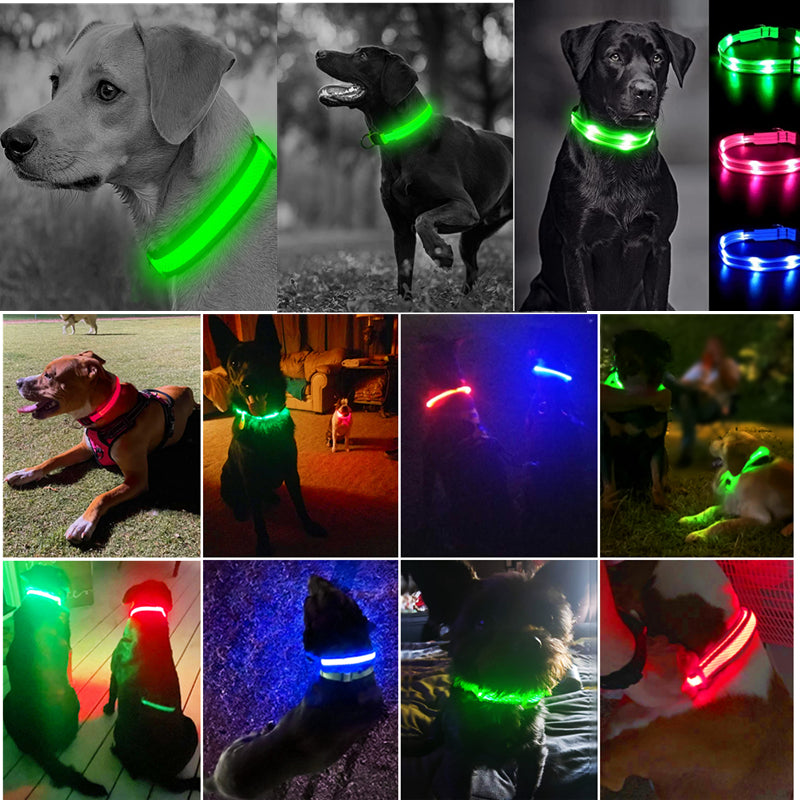 Rechargeable LED Dog Collar