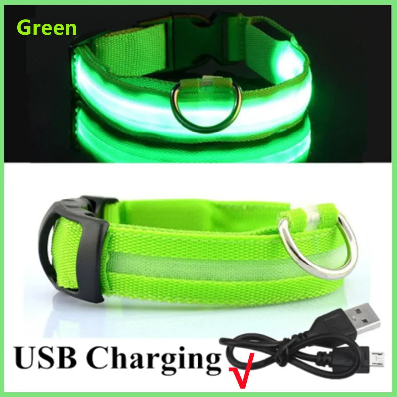 Rechargeable LED Dog Collar