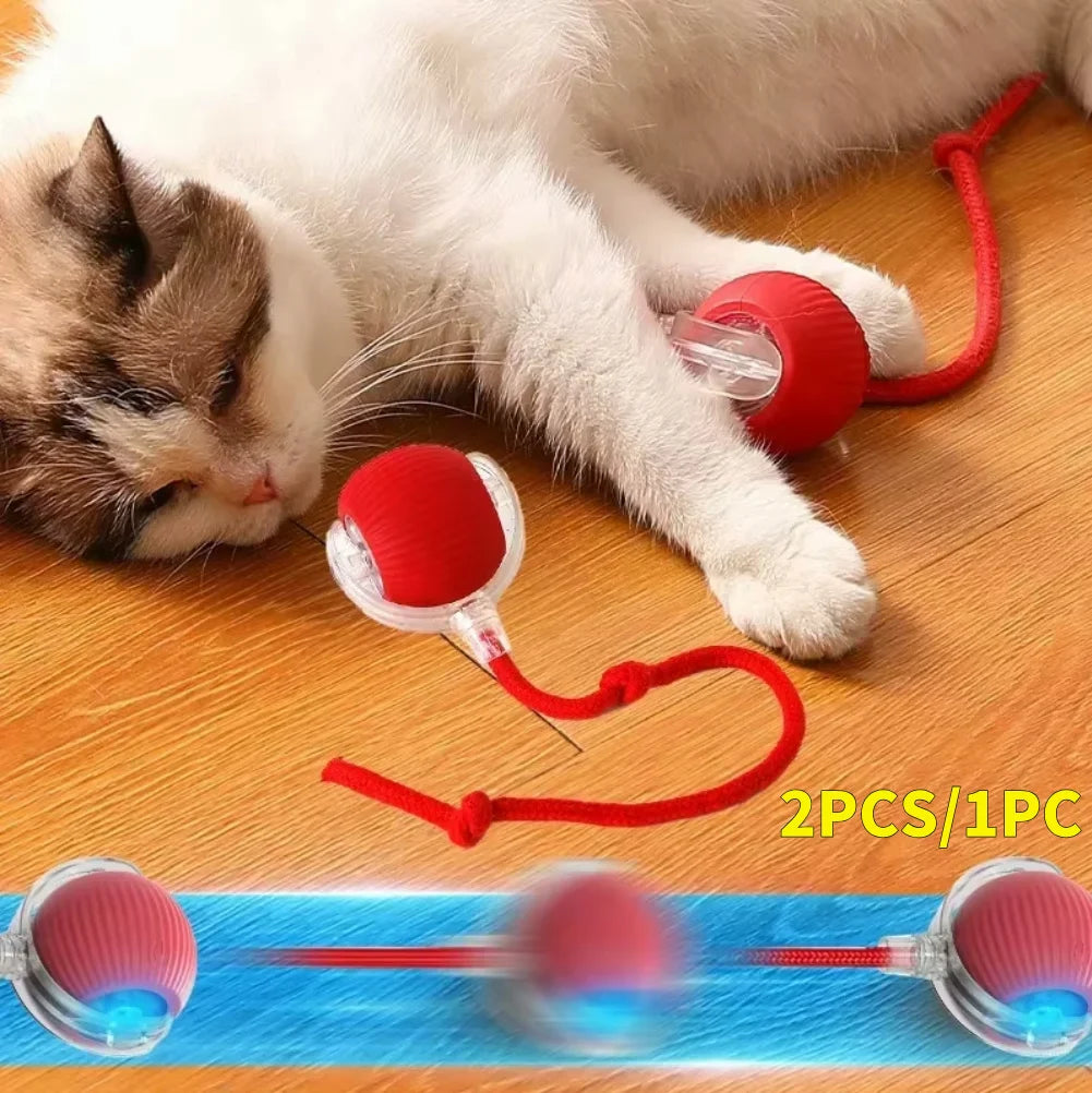 Interactive Cat Ball
