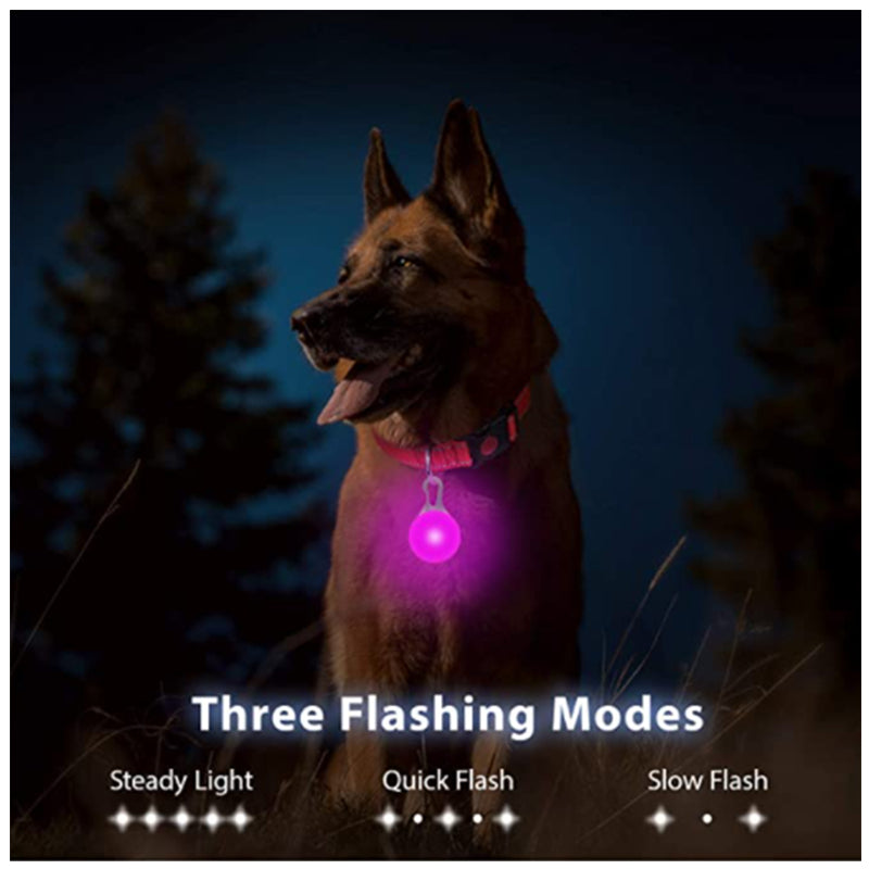 Rechargeable LED Dog Collar