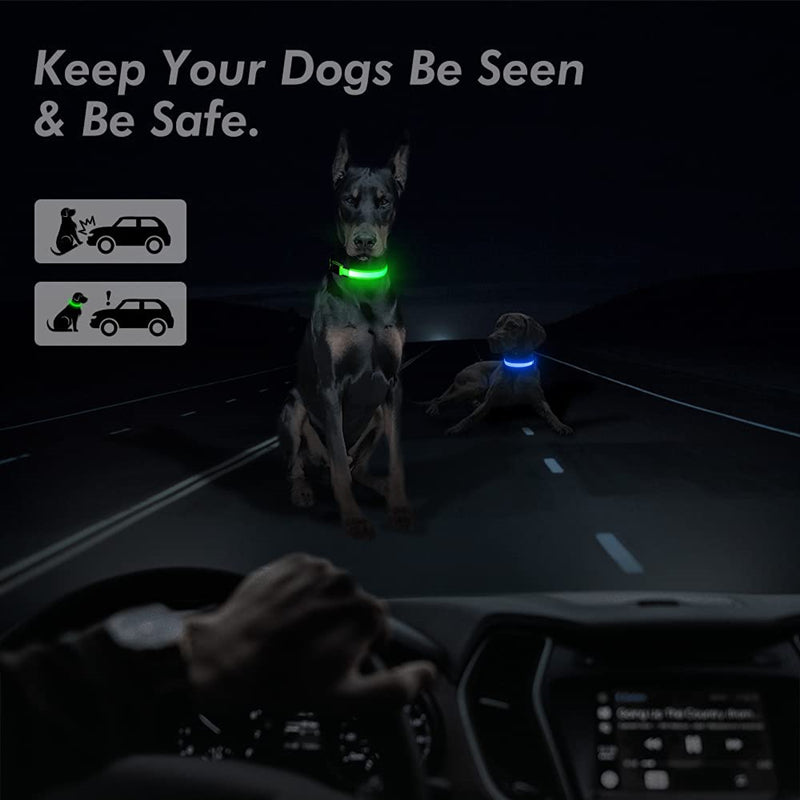 Rechargeable LED Dog Collar
