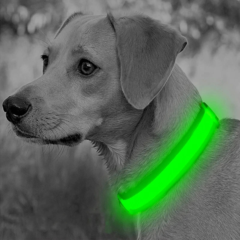 Rechargeable LED Dog Collar