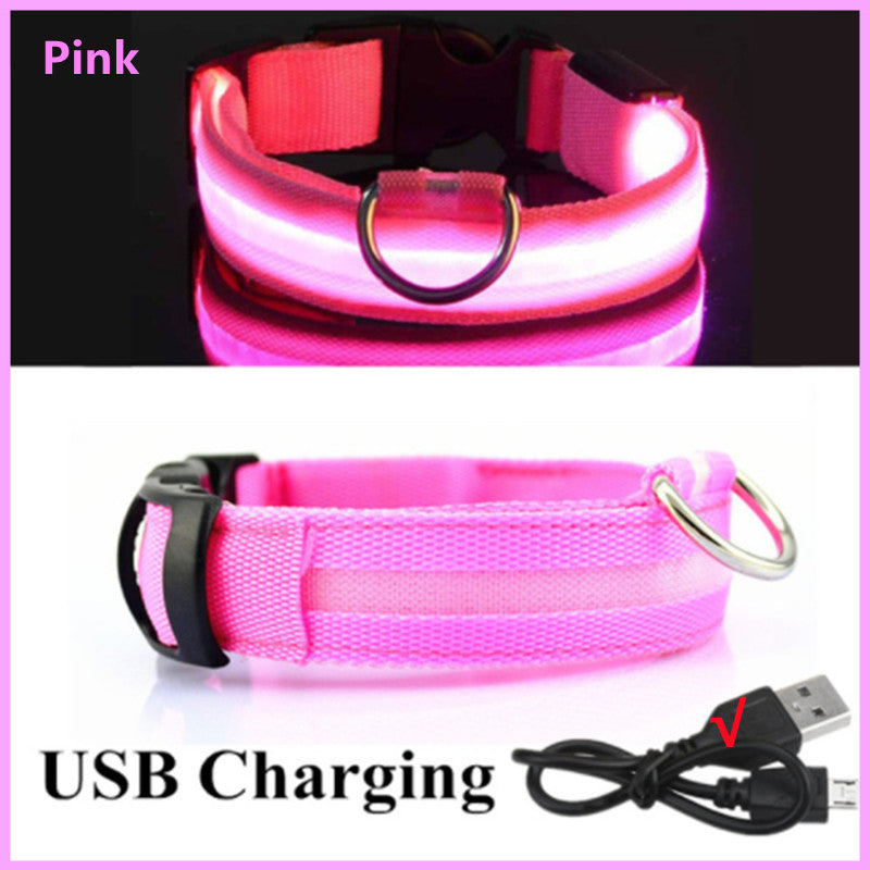 Rechargeable LED Dog Collar