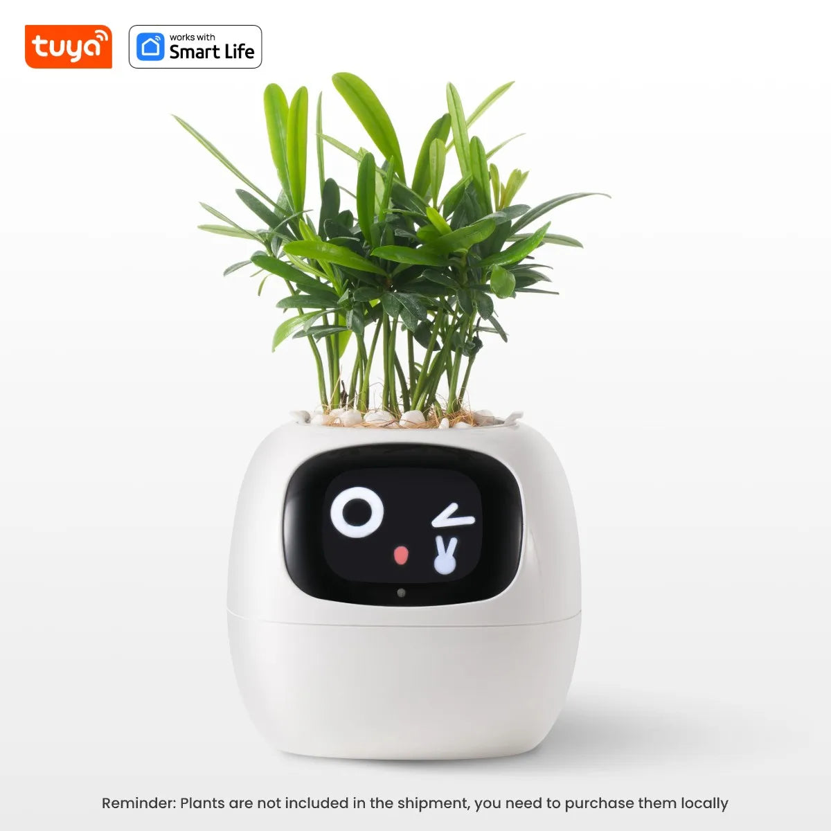 Ivy Smart Planter,Endless Fun over 49 Rich Expressions