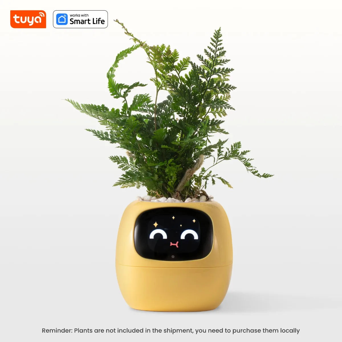 Ivy Smart Planter,Endless Fun over 49 Rich Expressions