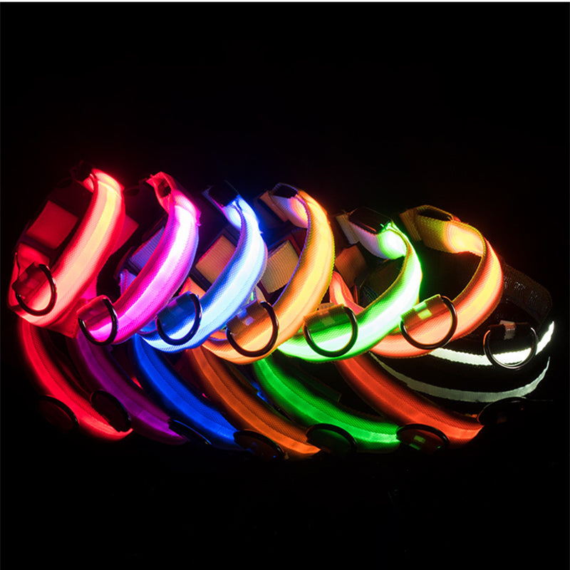 Rechargeable LED Dog Collar