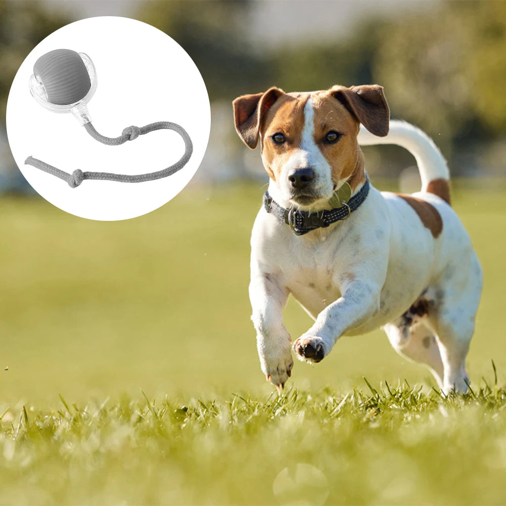 Interactive Cat Ball