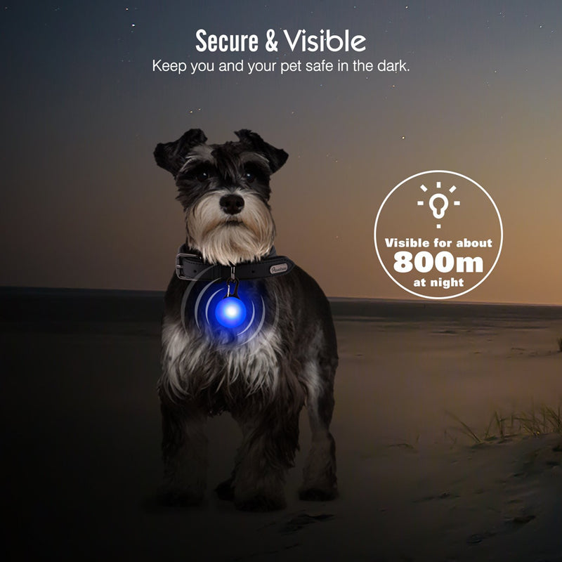 Rechargeable LED Dog Collar