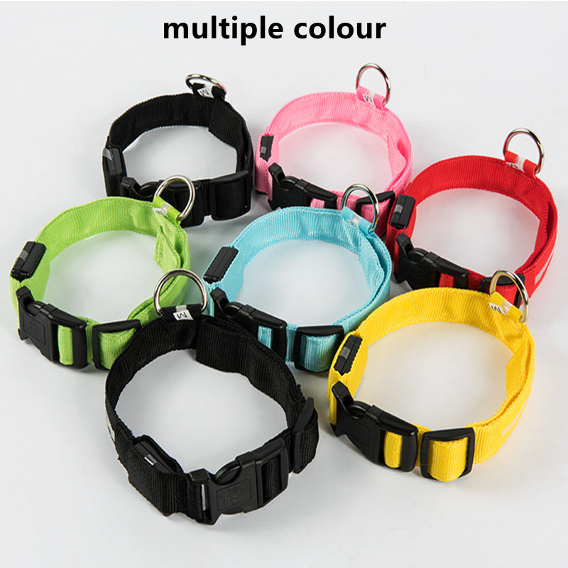 Rechargeable LED Dog Collar