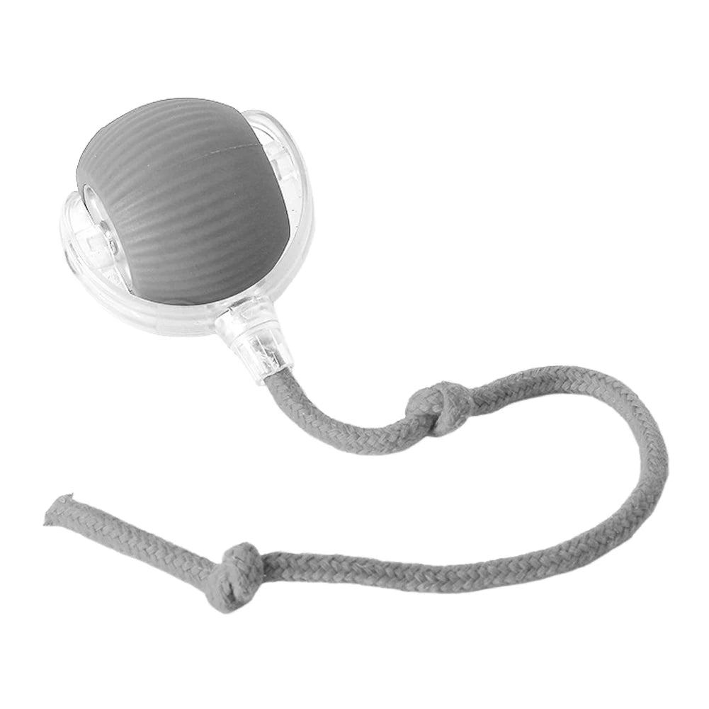 Interactive Cat Ball