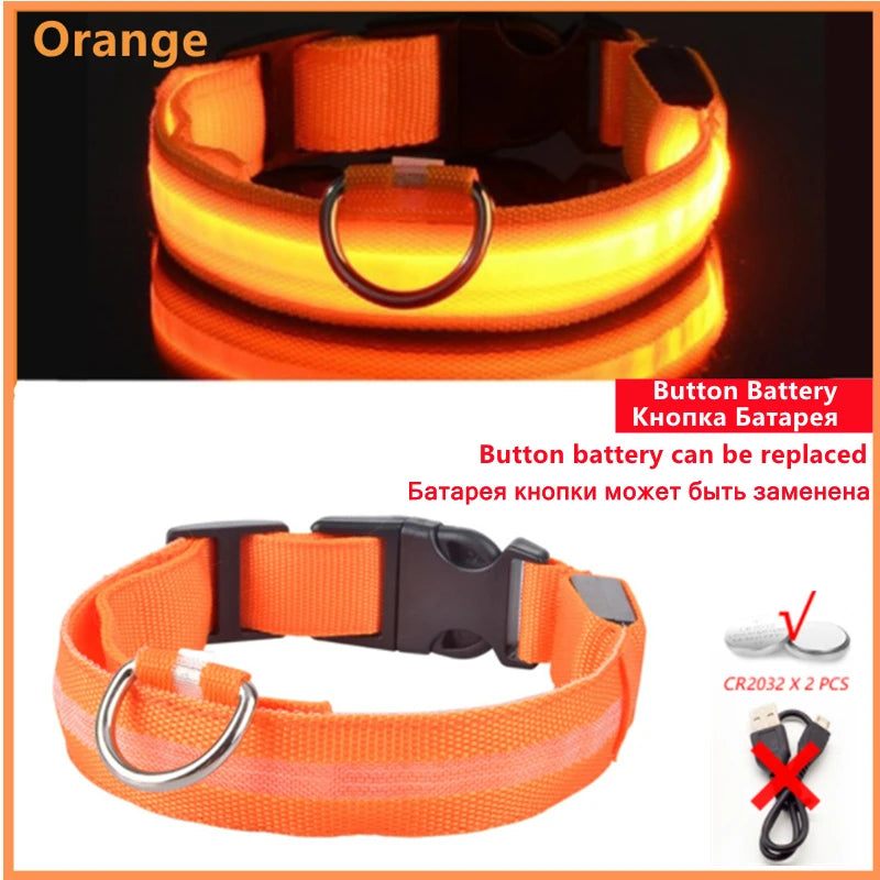 Rechargeable LED Dog Collar