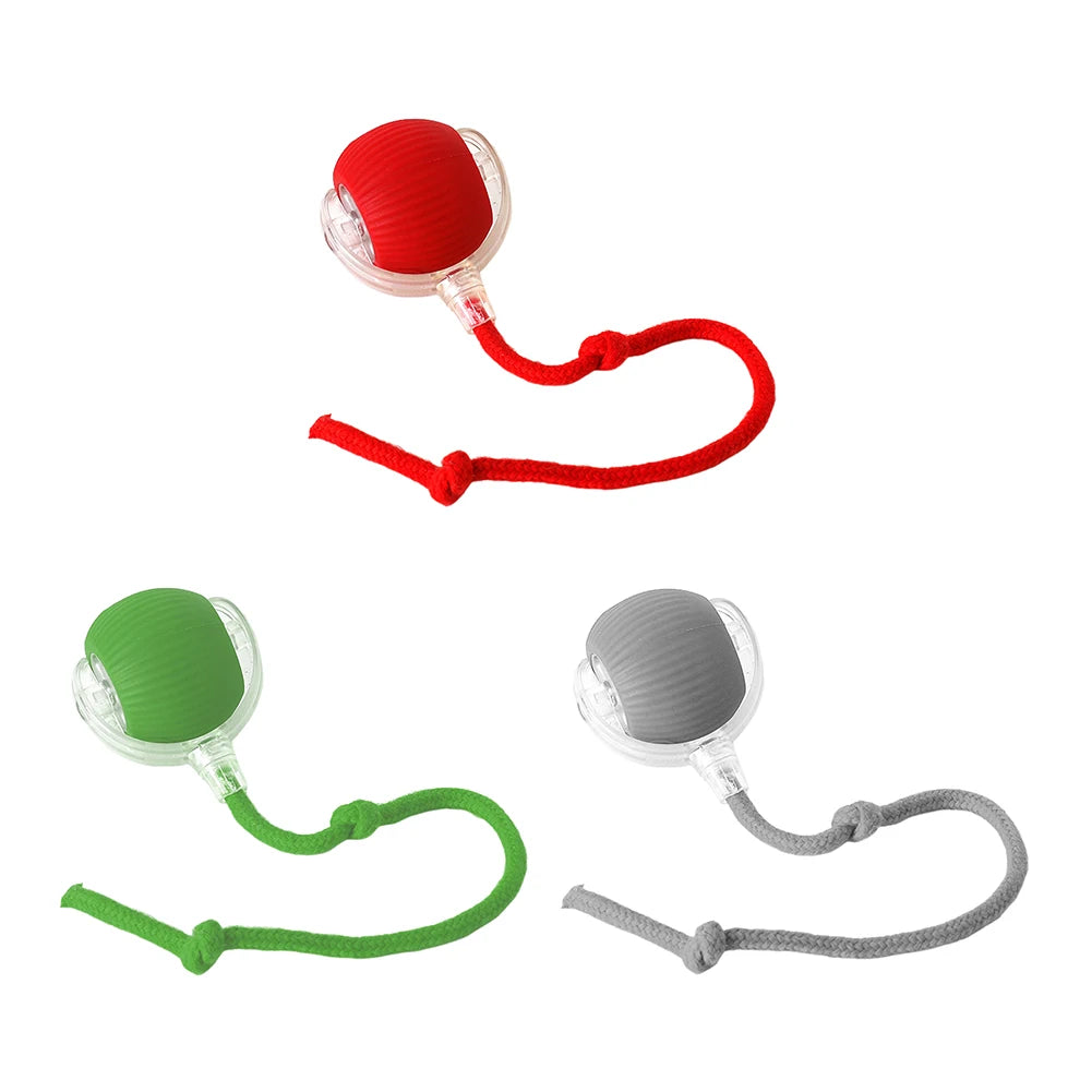 Interactive Cat Ball