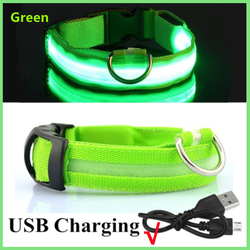 Rechargeable LED Dog Collar