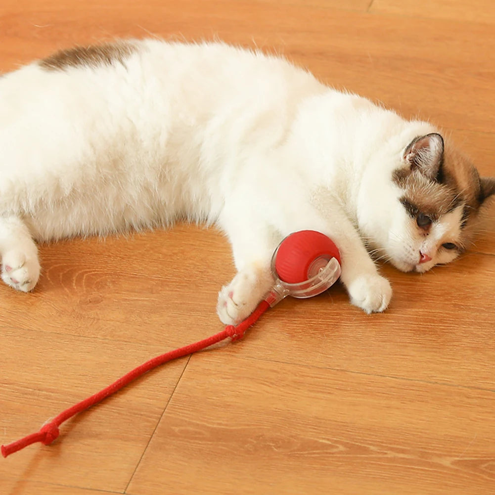 Interactive Cat Ball