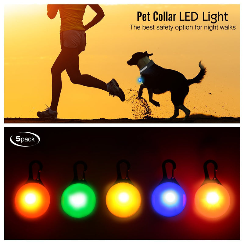 Rechargeable LED Dog Collar