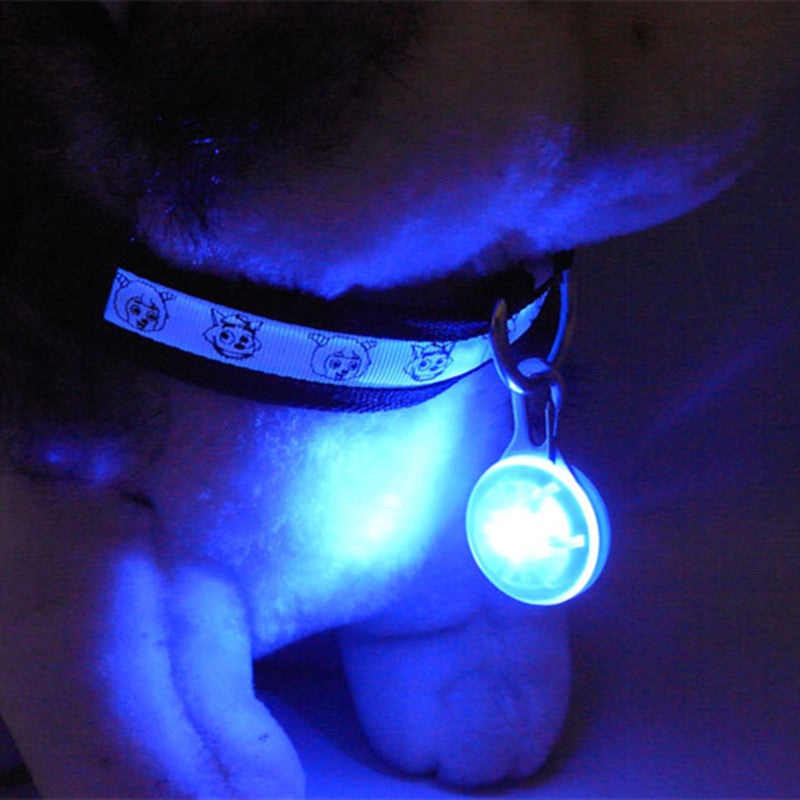 Rechargeable LED Dog Collar
