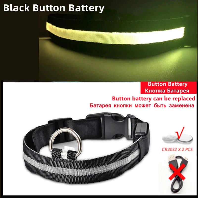Rechargeable LED Dog Collar
