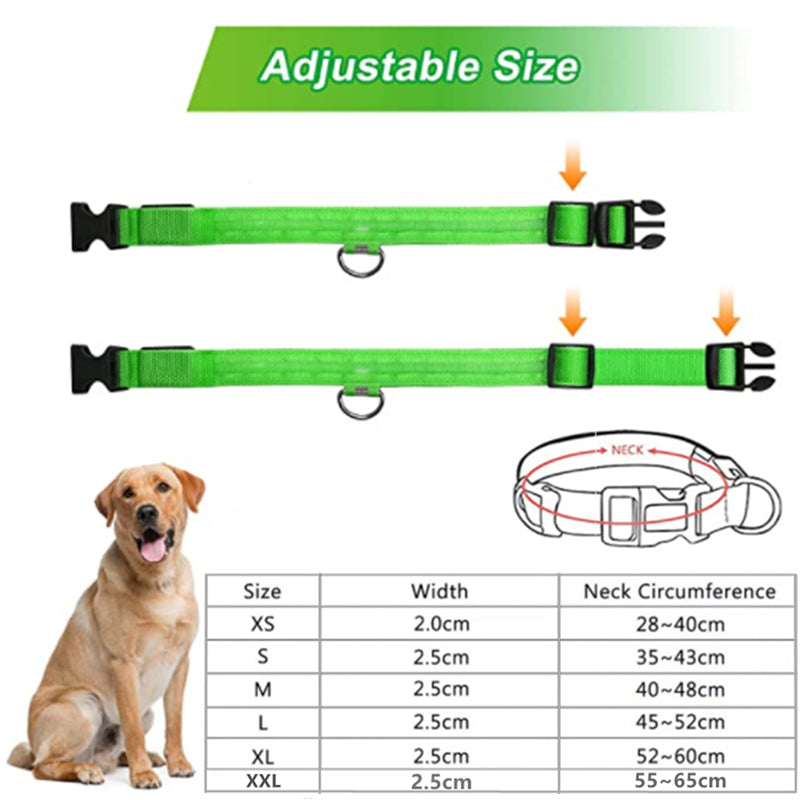 Rechargeable LED Dog Collar