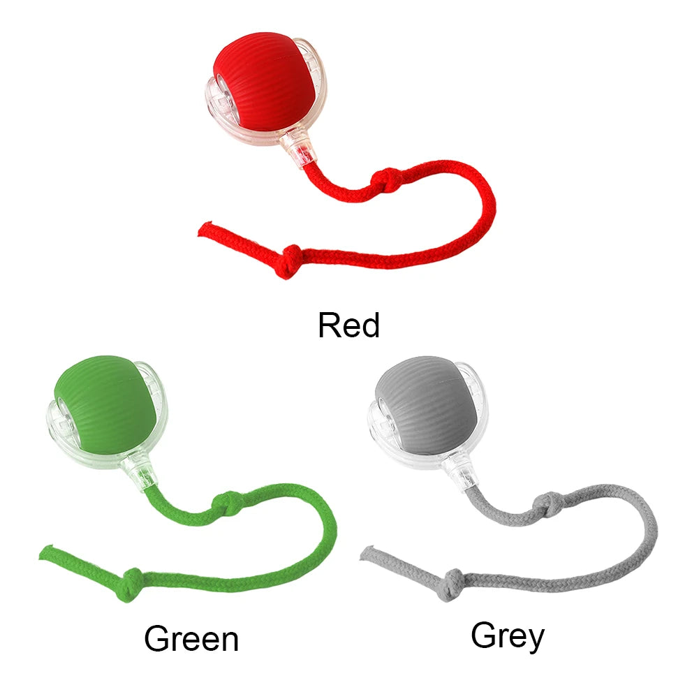 Interactive Cat Ball