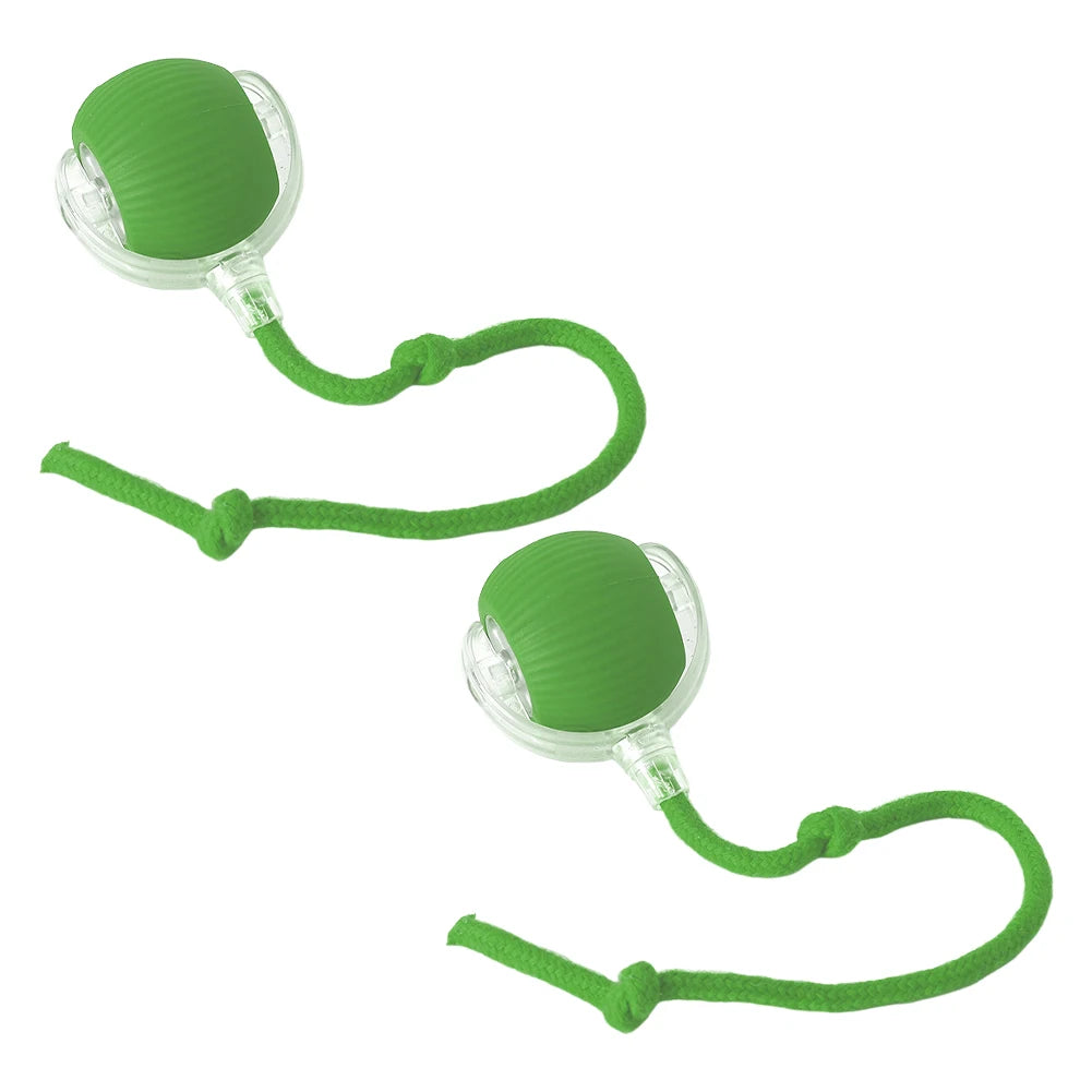 Interactive Cat Ball