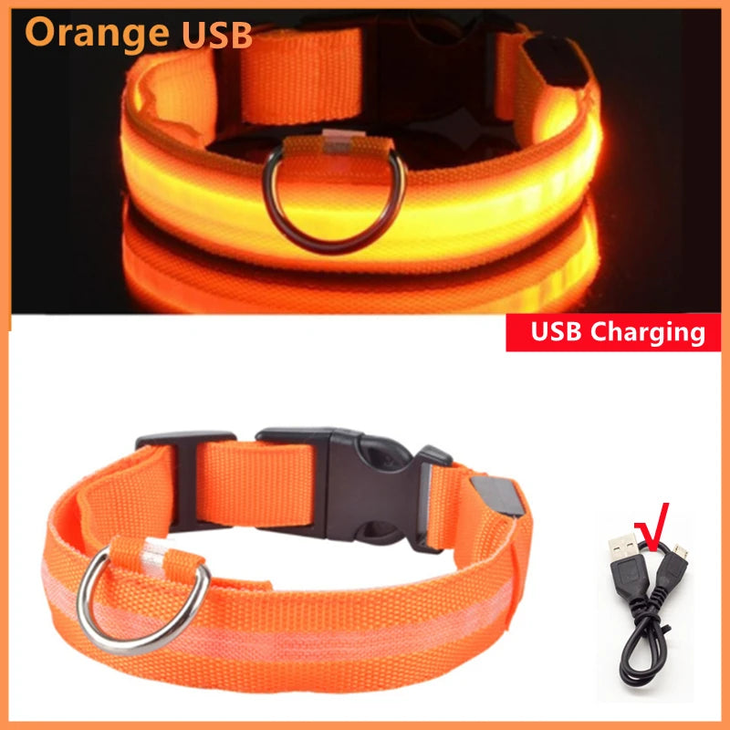 Rechargeable LED Dog Collar
