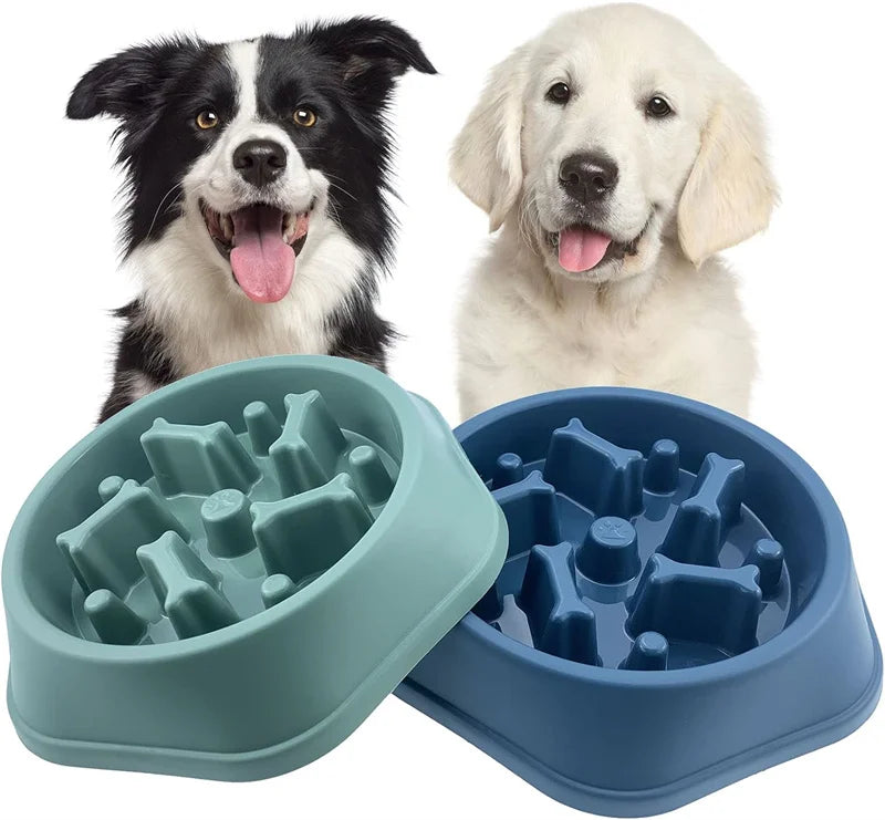Slow Feeder Dog Bowl