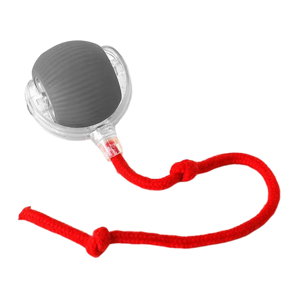 Interactive Cat Ball