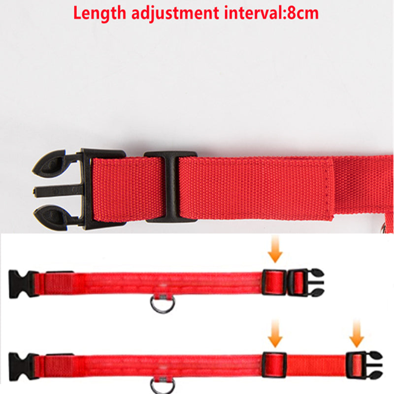Rechargeable LED Dog Collar