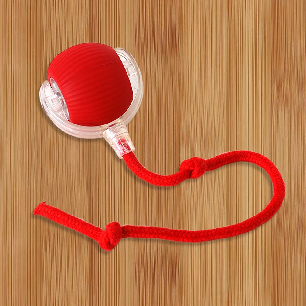 Interactive Cat Ball